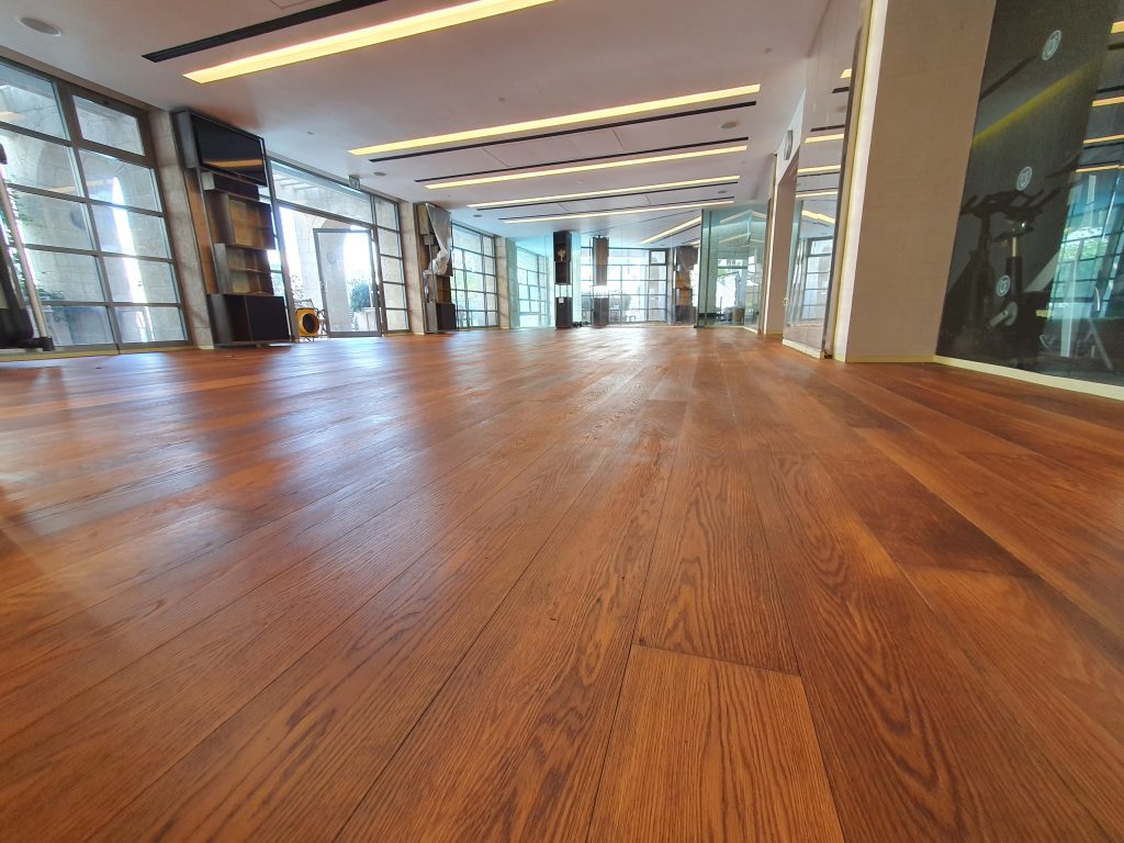 ניקוי פרקטים